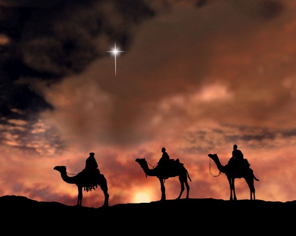 pic-2-xmas-star-crscriptoriusrex-580x463.jpg