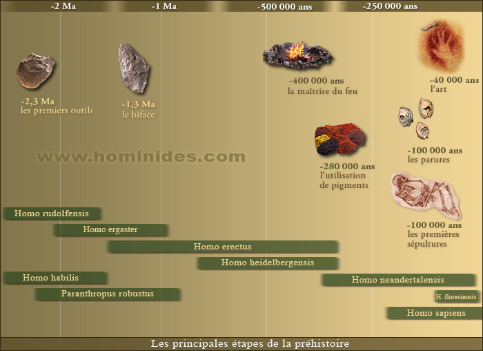 La prhistoire - vision d'ensemble : Copyright NeeKoo pour Hominides.com